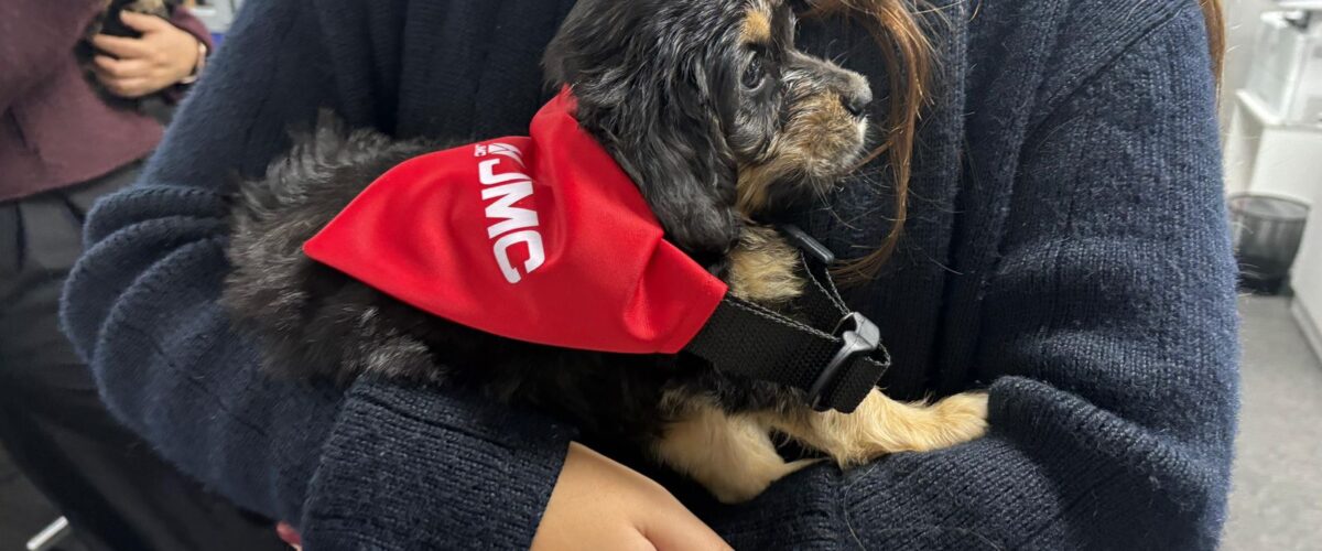 JMC promueve la adopción responsable junto a Tifa Grados